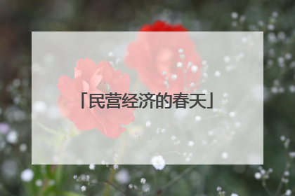 民营经济的春天